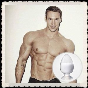 Inorganic and Organic Solvents