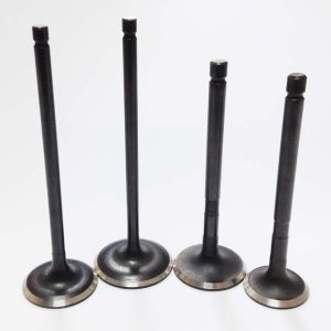 Engine Valve