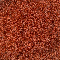 finger millet seeds ( red millet )