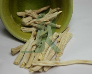 ASPARAGUS RACEMOSUS EXTRACT (Indian Asparagus, Shatavari extract)