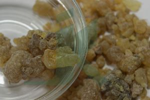 BOSWELLIA SERRATA EXTRACT (Dhup sala ,Indian olibanum extract)
