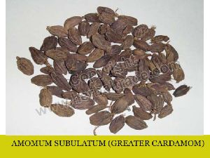 Cardamom Large