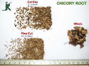 CICHORIUM INTYBUS (Chicory Root)