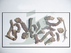 COLEUS FORSKOHLII (coleus root)
