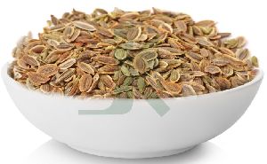 Dill Seeds