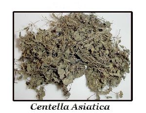 GOTU KOLA Centella Asiatica