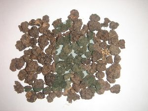 MORINDA CITRIFOLIA EXTRACT (Noni, Indian Mulberry extract)