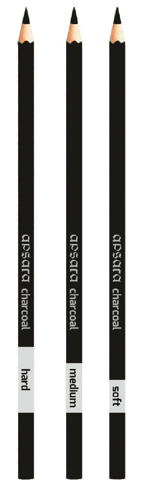 Charcoal Professional Pencils