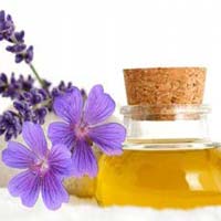 geranium oil