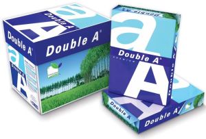 Double A4 Paper (210mm x 297mm)