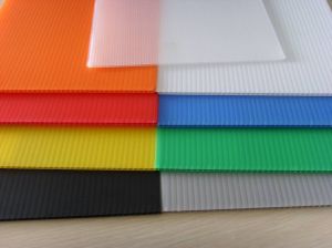 Durable PP Hollow Sheet