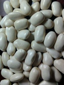 Medium White Kidney Beans