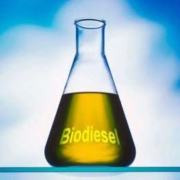 Biodiesel Fuel