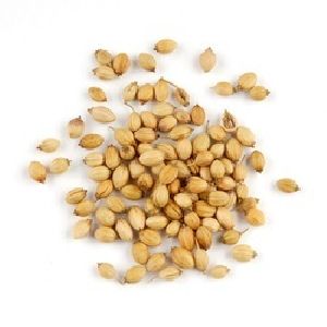 coriander seeds