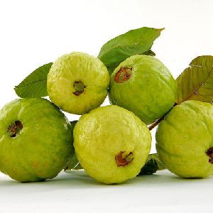 fresh guava