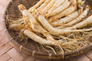 Ginseng Root