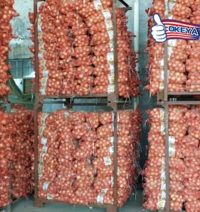 onions, Brand Name : OKEYA, Certification : ISO9001
