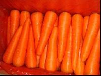 Carrots