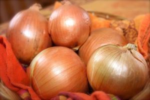 2015 Crop Year Fresh Onion, Certification : All