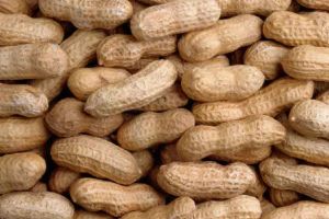 peanut,  Country of Origin : India