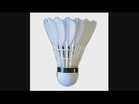 badminton equipment