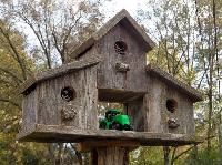 Bird House