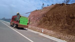 Grass Seeder Grass Seeder