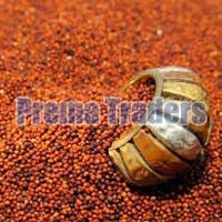 Red Millet Seeds