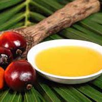 palm oil