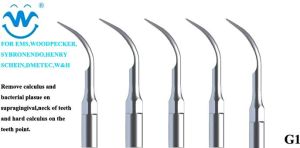 Scaler Tip Scaler Tip