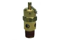 Recicomp Safety Valve