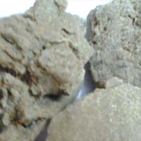 Moringa Seed Oil Cake