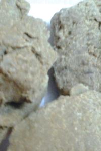 Moringa Seed Oil Cake Exporters