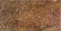 Coffee Brown Granite Slabs