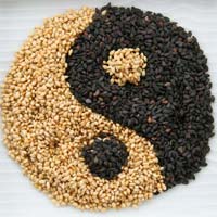 sesame seeds