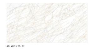 600 x 1200 mm High Gloss Glazed Vitrified Tiles