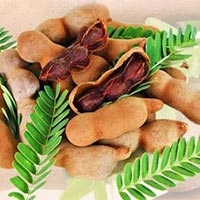 tamarind