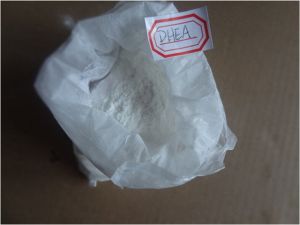 Dehydroepiandrosterone