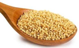 millet seeds