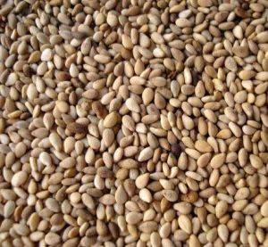 sesame seeds