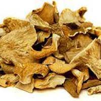 dried oyster mushroom