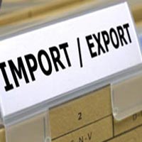 Import  Export Code Registration