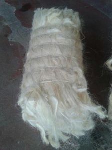 Sisal Fibre