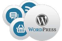 WordPress CMS Web Development