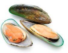 Frozen Mussels
