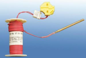 Electronic Detonator