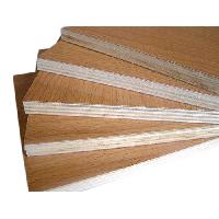 Prelam Commercial Plywood