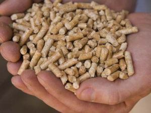 Wood Pellets