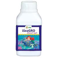 Seaweed Fertilizer (liquid)