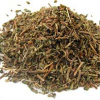 Bacopa Monnieri Tea Cut